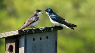 Polacy są "narodem eksperckim"? Jak nauka tłumaczy istnienie "profesorów Facebooka" i "doktorów Twittera"