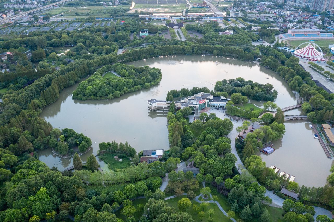 Chiny. Pracownik zoo zabity przez niedźwiedzie. Na wszystko patrzyli zwiedzający