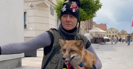 Zaskakujący widok w polskim mieście. "To powinno być zakazane"