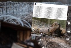 Martwy żubr na polsko-białoruskiej granicy. Stado w śmiertelnej pułapce?