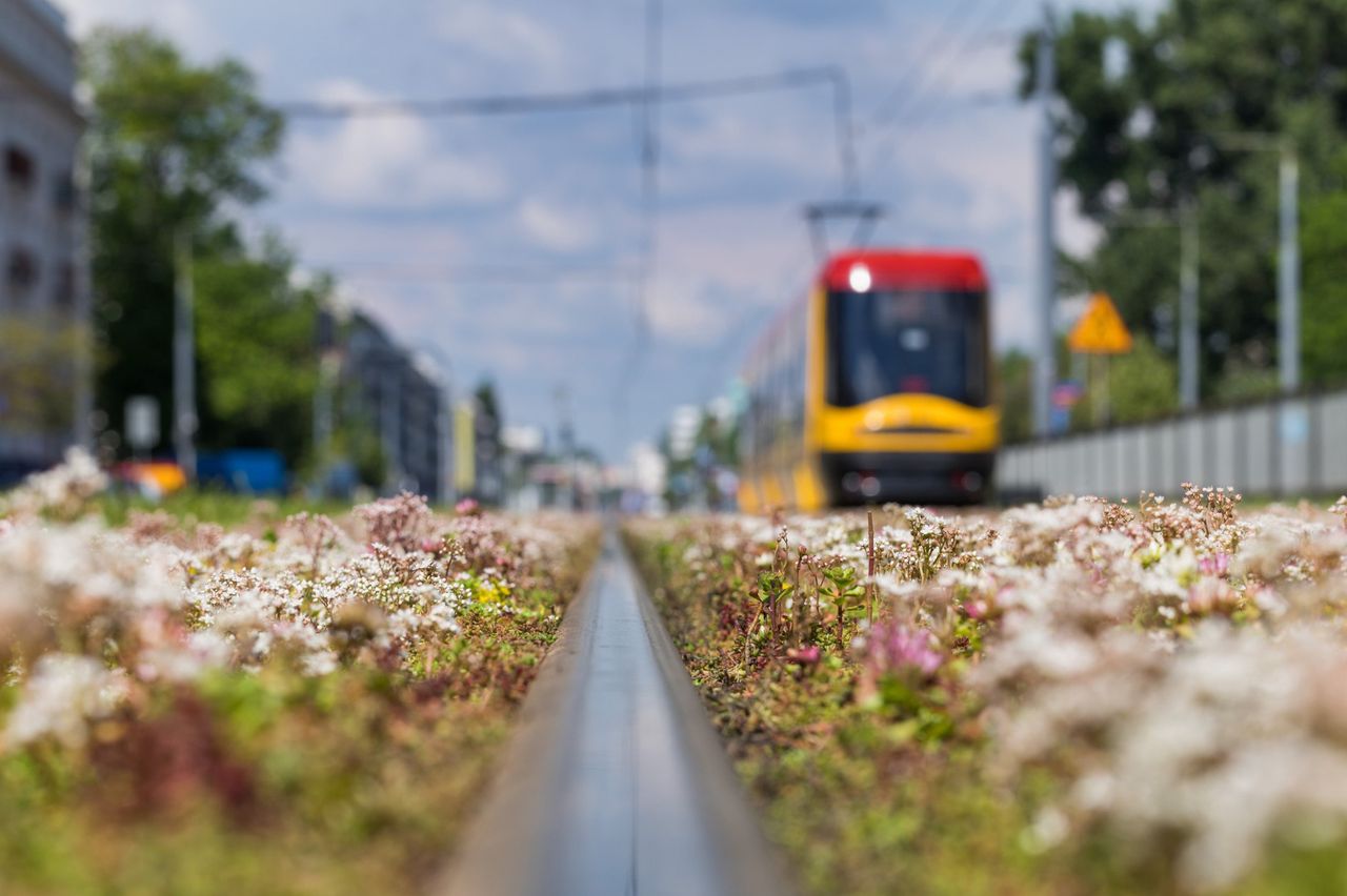 Warszawa. Porsche zablokowało torowisko