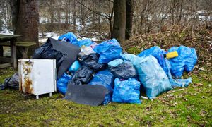 Surowsze kary za zaśmiecanie lasów, zgoda na strzelanie. Resort pokazał projekt