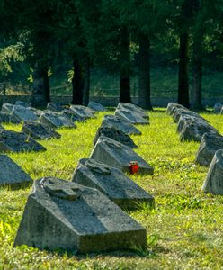 Taki sam nagrobek dla każdego. W Olsztynie powstaną "amerykańskie kwatery"