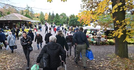 Szokujące stoisko. To sprzedają przy cmentarzu w Warszawie