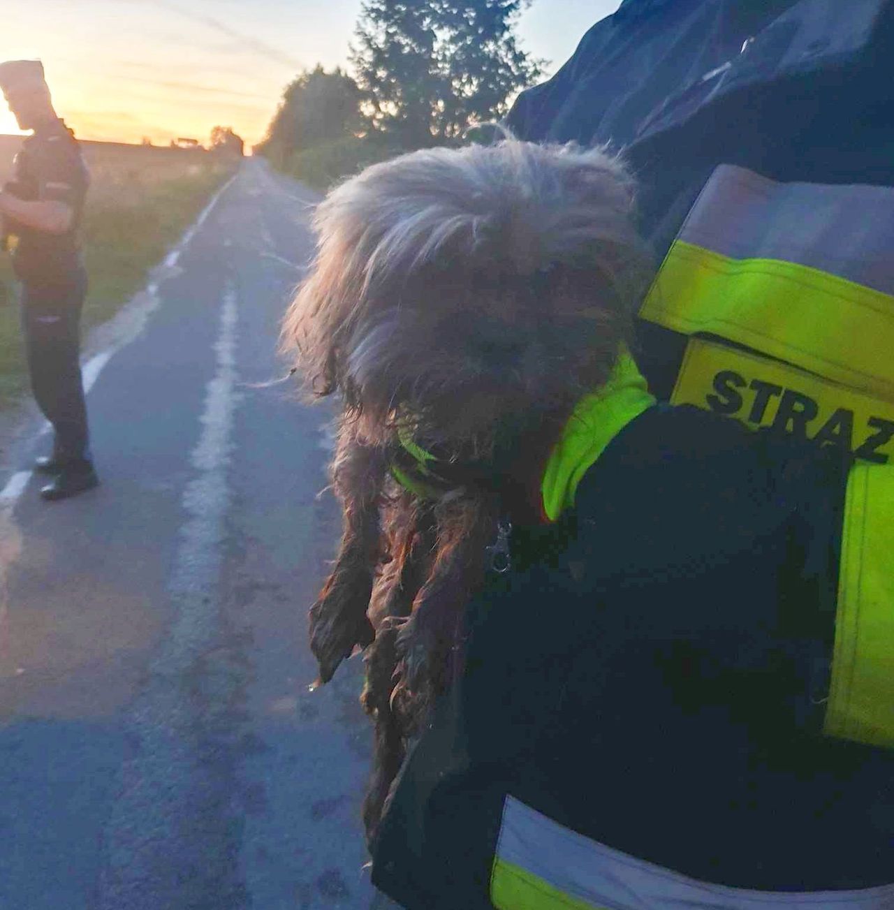 Jej pies tonął w worku. Teraz właścicielka chce go z powrotem