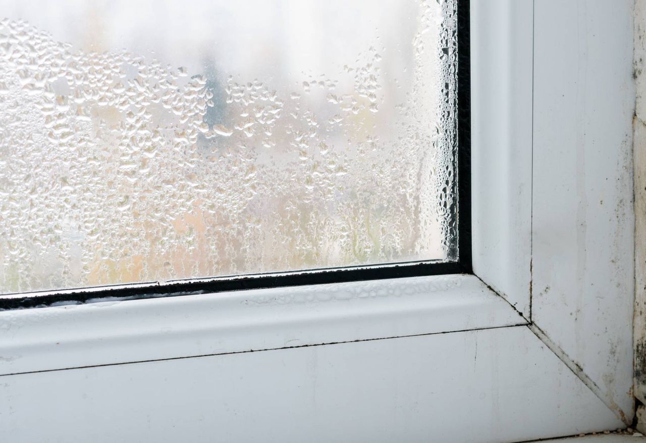 Simple fixes: Tackle winter window moisture at home