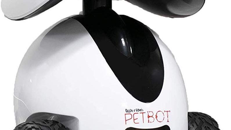 Ten robot będzie bawił się z twoim zwierzakiem, kiedy Ty będziesz poza domem 1