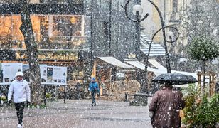 Powrót zimy. Nawet 20 centymetrów śniegu i minusowe temperatury