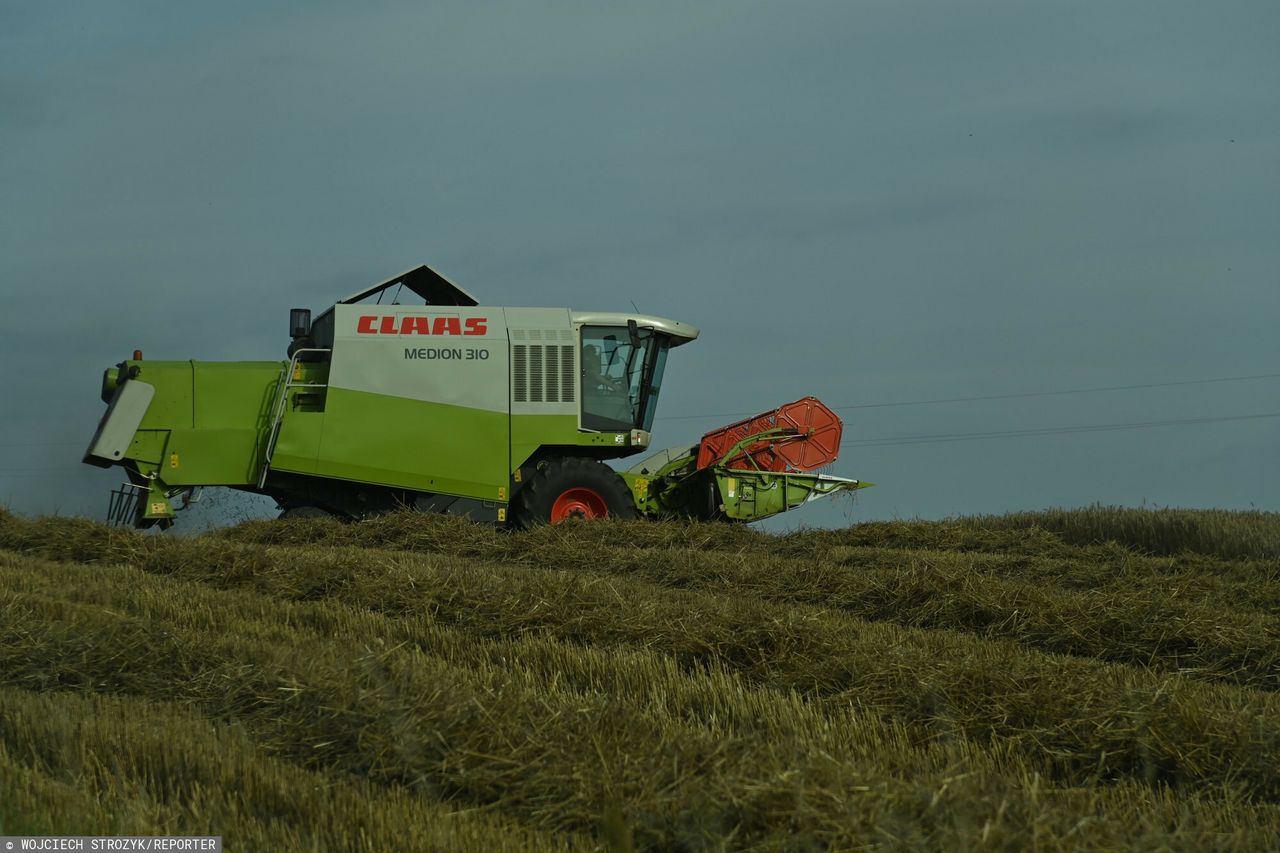 Dochód z hektara. Oto ile według GUS zarabiają rolnicy