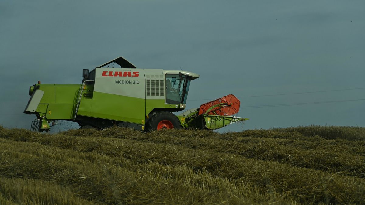Bogaty jak polski rolnik? 