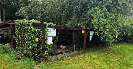 Skontrolowali posesję ze zwierzętami. Straszne, co odkryli