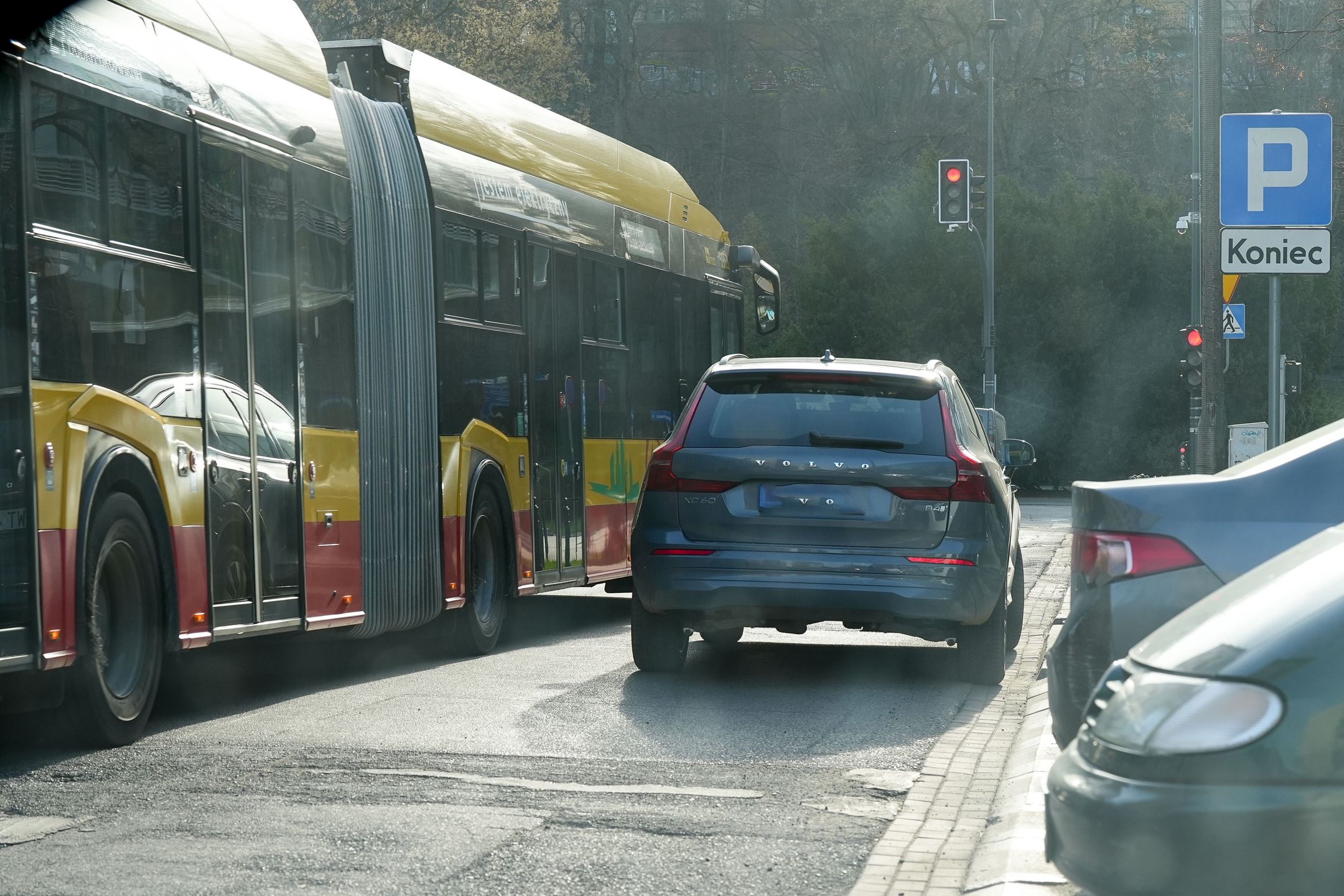 Justyna Steczkowska odbiega od standardów wzorowego kierowcy