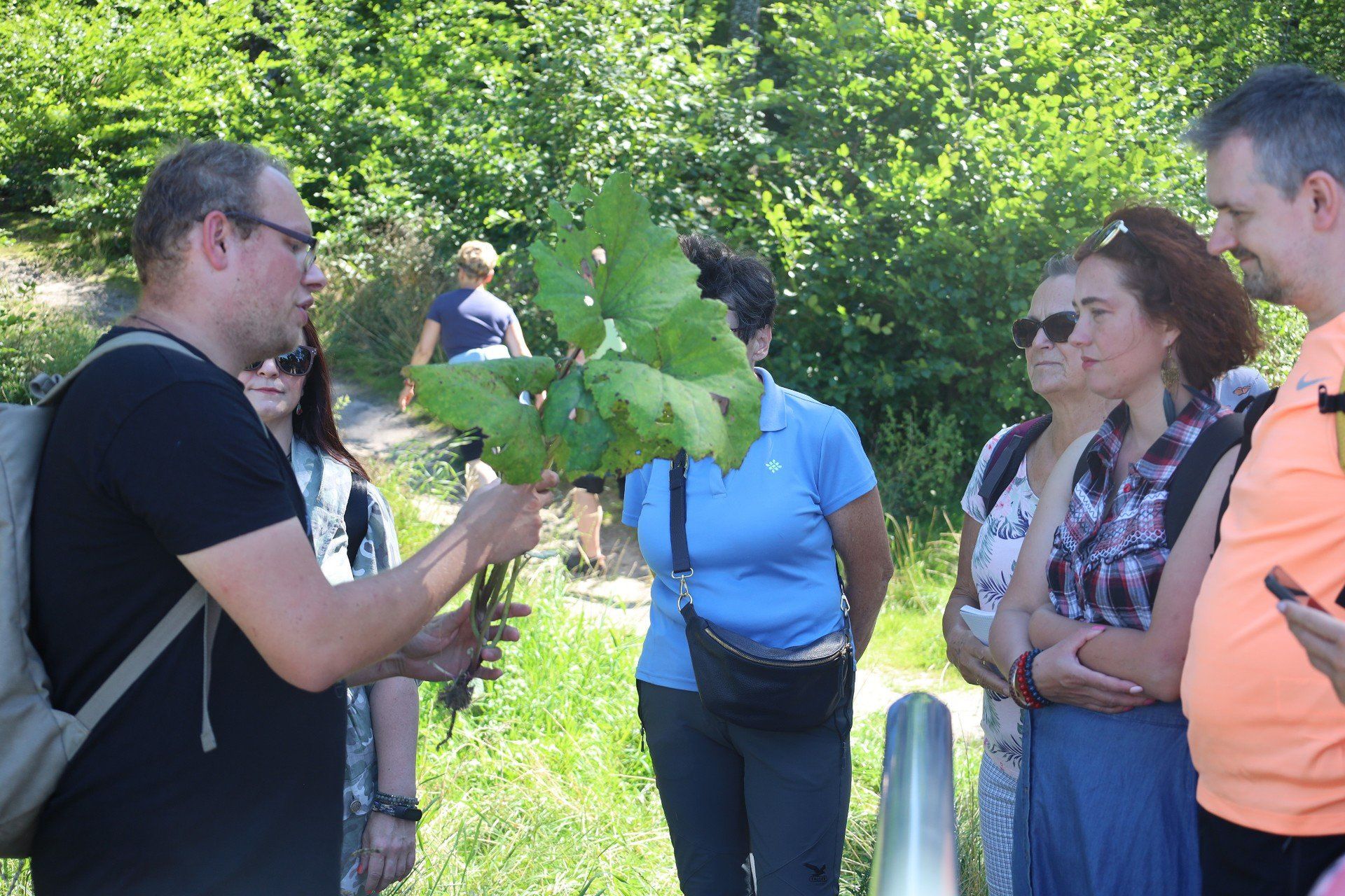 Spacery zielarskie z fundacją Ziołogród
