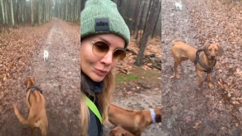 Uśmiechnięta Agnieszka Woźniak-Starak spaceruje z psami po lesie i zachęca: "Chodźcie na spacery i miejcie psy" (FOTO)