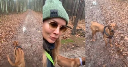 Uśmiechnięta Agnieszka Woźniak-Starak spaceruje z psami po lesie i zachęca: "Chodźcie na spacery i miejcie psy" (FOTO)