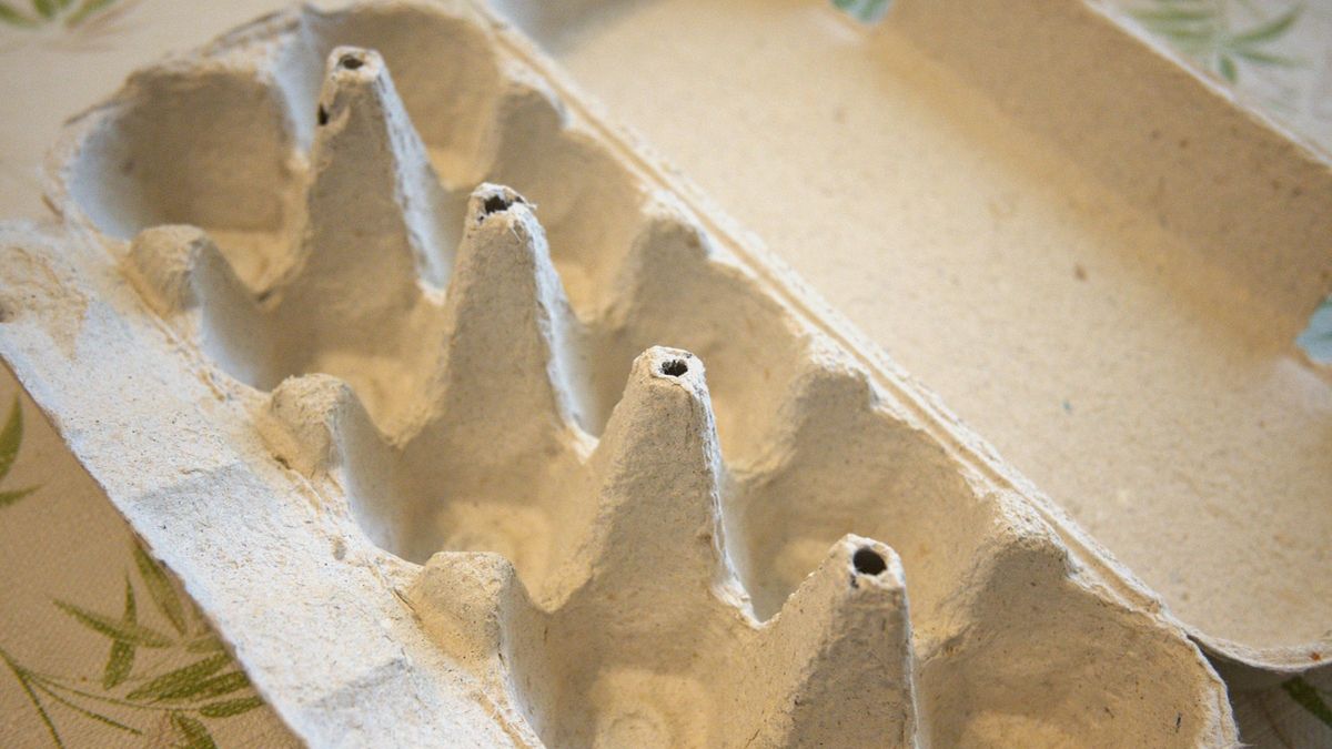 Gdzie wyrzucić opakowanie po jajkach? 