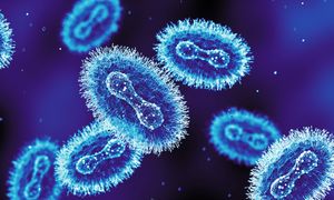 Brytyjczycy potwierdzają. Jest nowy wariant wirusa Mpox