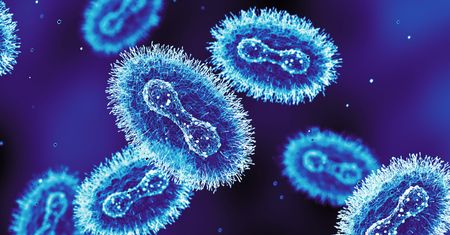 Brytyjczycy potwierdzają. Jest nowy wariant wirusa Mpox