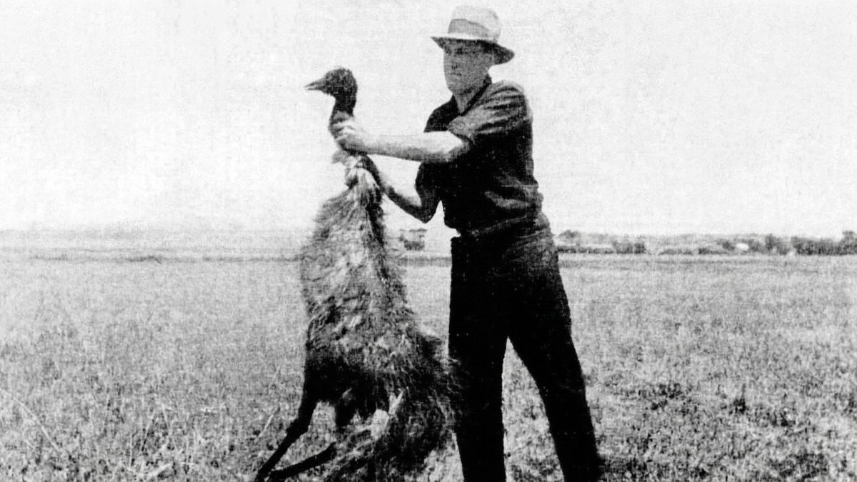 Farmer z odstrzelonym ptakiem emu