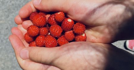 Tarcza przed rakiem. Obniżają cukier, wspierają serce