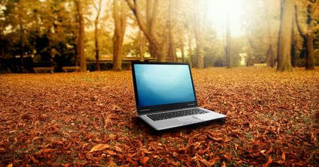 Szukasz laptopa? Zobacz ranking polecanych laptopów na październik 2020