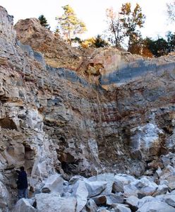 Zuchwała kradzież. Łupem ślad dinozaura