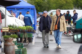 Pchli targ w Toruniu. Wyjątkowo zimny maj go nie zakłócił, co było w ofercie?