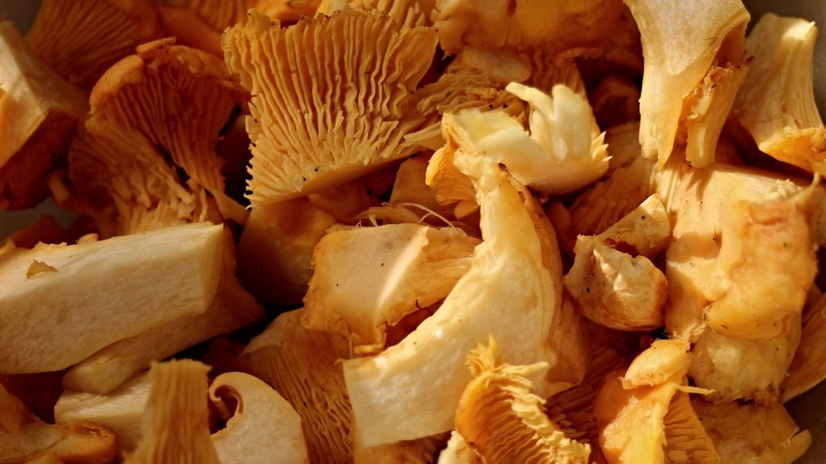 Kurki powinny zostać obgotowane przed zamrożeniem 