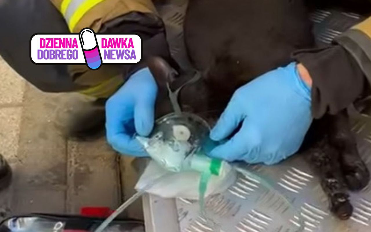 Leżał w płonącym mieszkaniu. Strażacy nie wahali się ani chwili