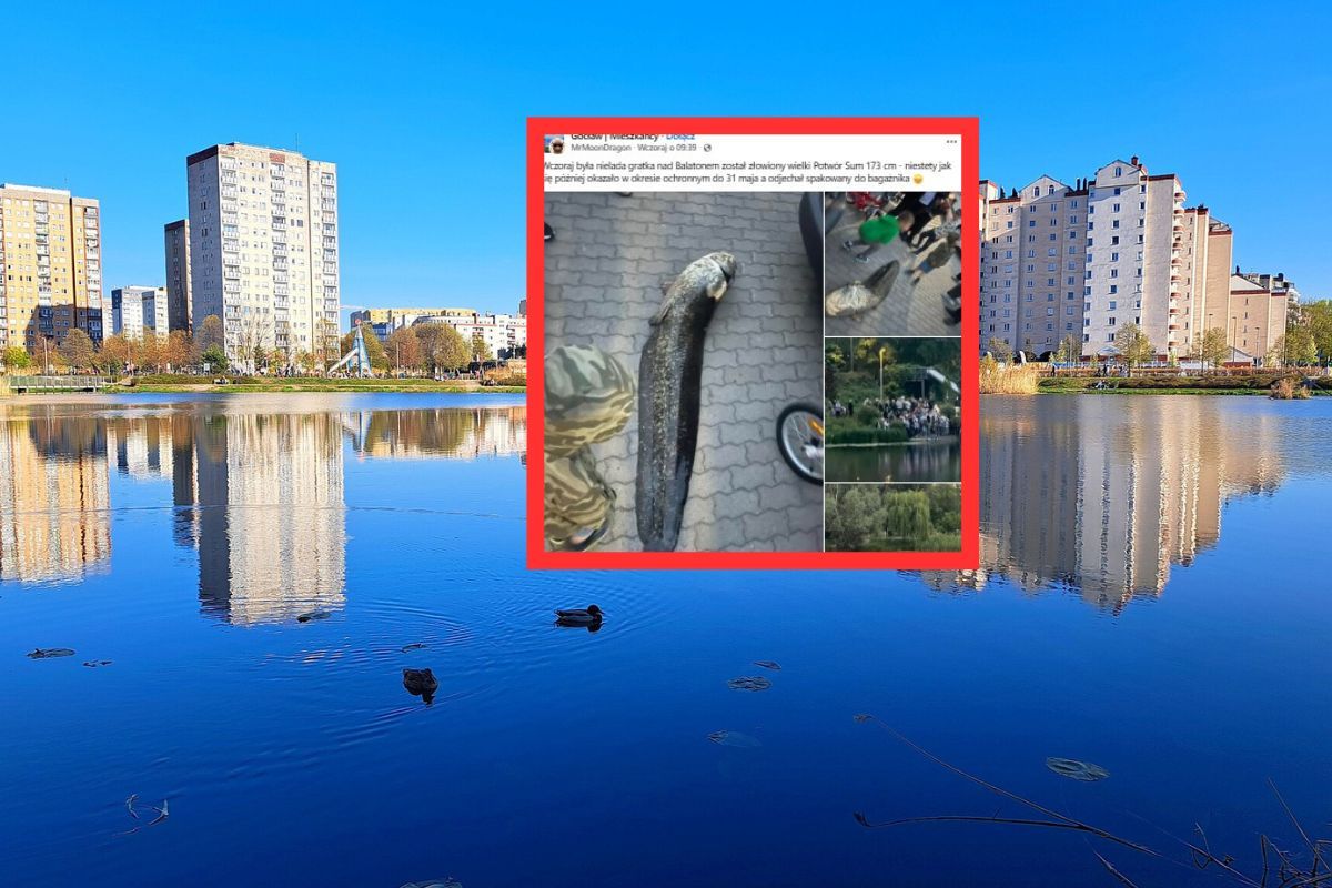 "Wielki potwór" złowiony. Zdjęcia robiły nawet dzieci. "Barbarzyństwo"