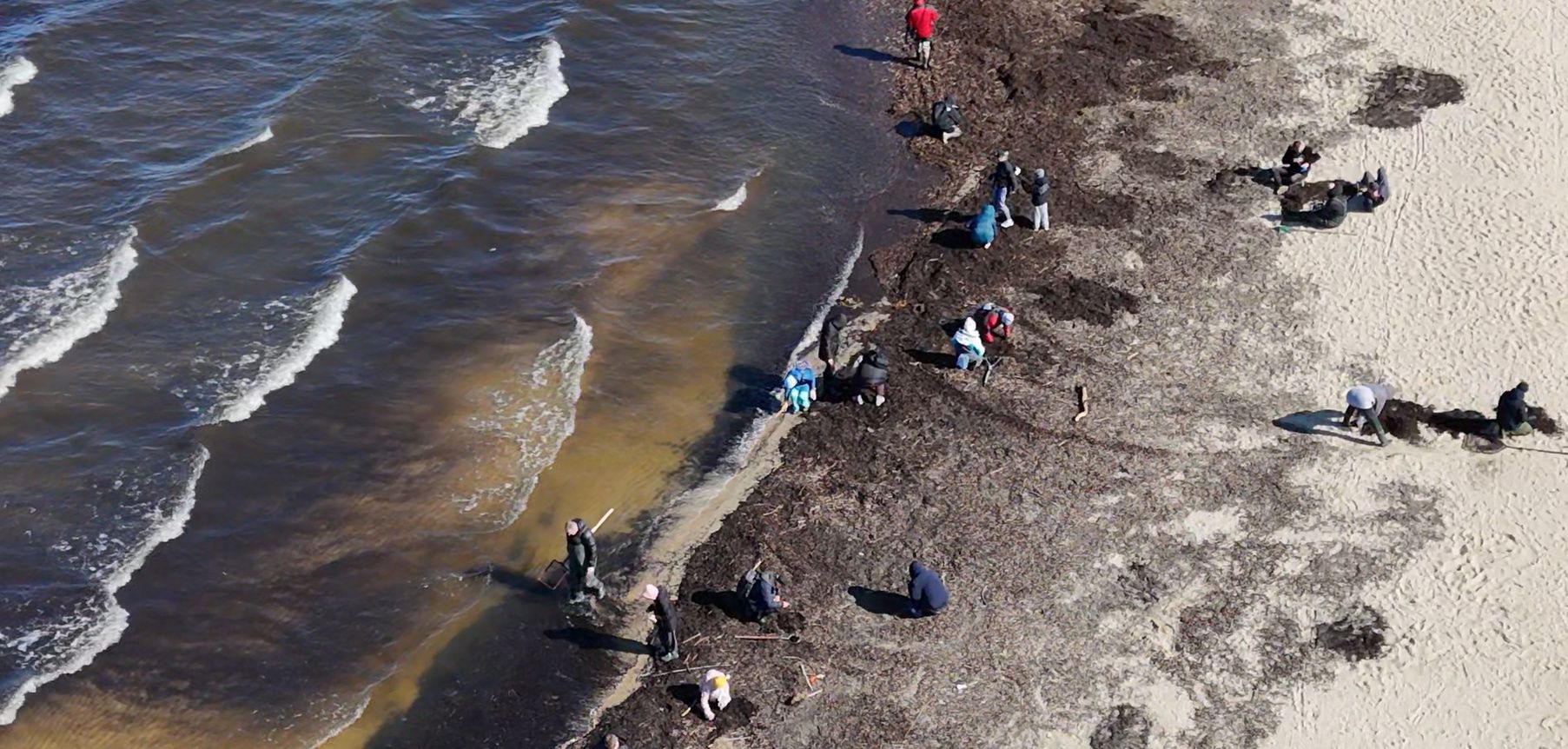 Szaleństwo na plaży w Mikoszewie. Można znaleźć prawdziwe skarby