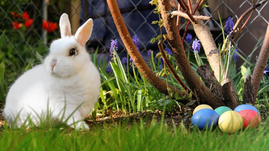 Wielkanoc 2021. Co oznaczają symbole wielkanocne?