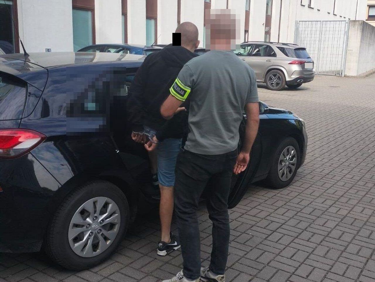 Wisznice: Uprawiał konopie o wysokości blisko 2,5 metra