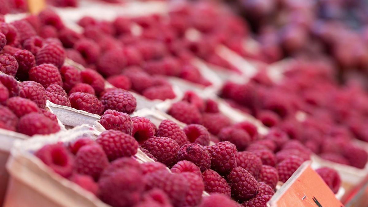 Maliny mogą wspierać odporność, poprawiać stan skóry i łagodzić objawy napięcia przedmiesiączkowego.