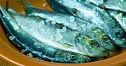 Świąteczny śledź w śmietanie to małe zło. Spróbuj szwedzkiego surströmming