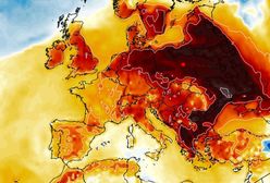 Temperatury będą szaleć. Nawet 15 stopni