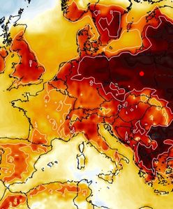 Temperatury będą szaleć. Nawet 15 stopni