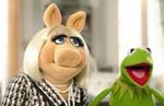 ''The Muppets'': Ciężkie rozstanie Piggy i Kermita