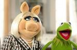 ''The Muppets'': Ciężkie rozstanie Piggy i Kermita