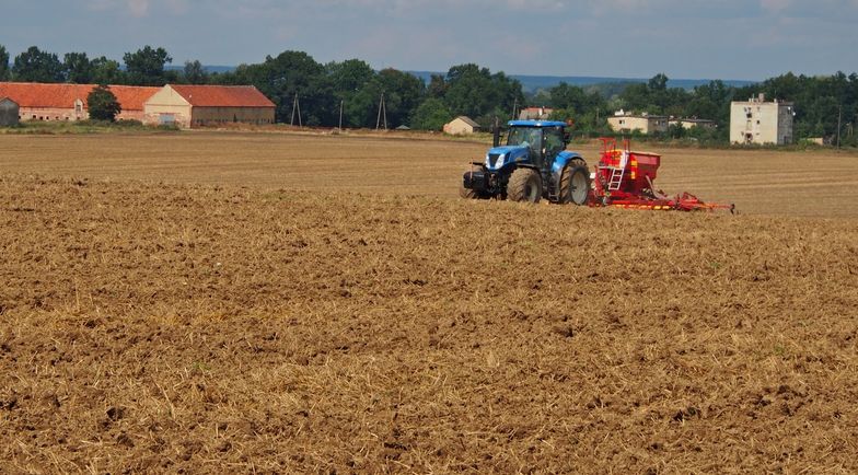 Wsparcie dla rolników. Raport: najskuteczniejsze w Polsce