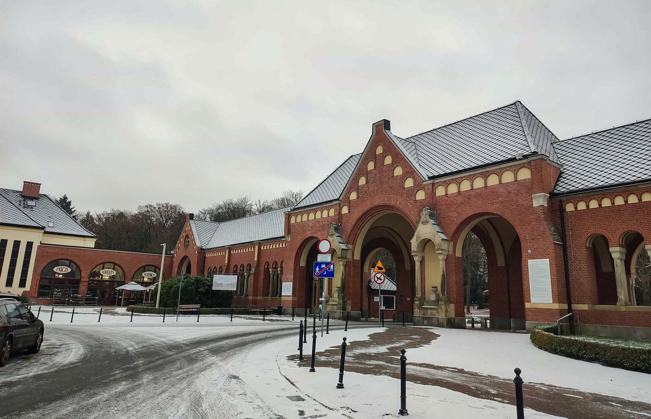 Cmentarz Centralny w Szczecinie.