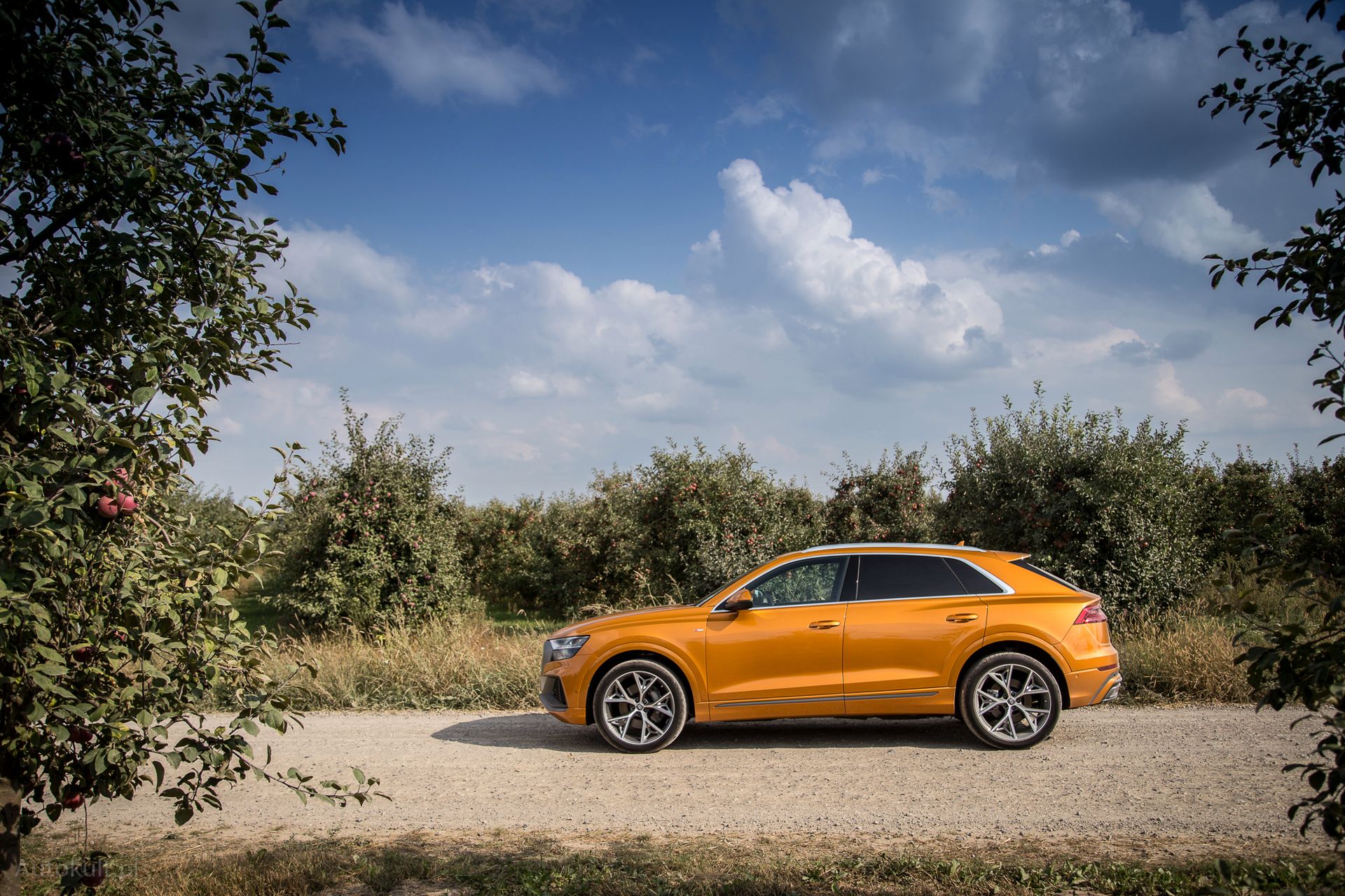 Audi Q8 (2018) (fot. Mateusz Żuchowski)