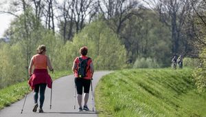 Groźna sytuacja na mistrzostwach Polski w nordic walking. Zawodników zaatakował rój szerszeni