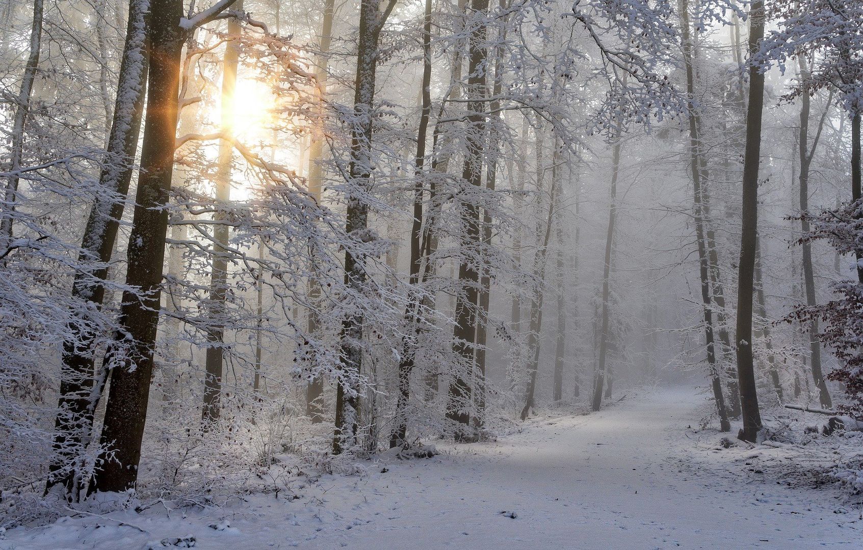 Pogoda - sylwester i Nowy Rok. Gdzieniegdzie nawet 15 cm śniegu!