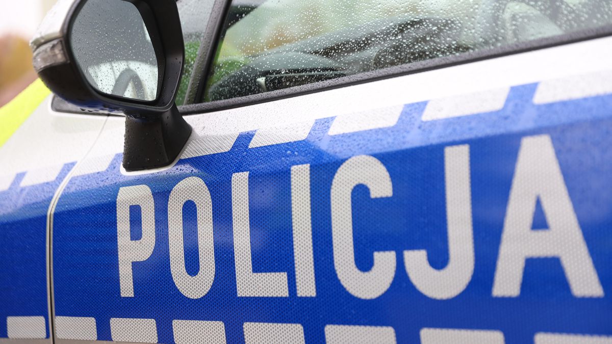 patrol policji
Leszek Szyma�ski
1listopada, akcja, bezpiecze�stwo, bezpiecze�stwo na drodze, funkcjonariusz, funkcjonariusze, KGP, Komendy G��wnej Policji, konferencja, Konferencja prasowa, na drodze, policja, policjanci, policjant, policji, prasowa, radiow�z, ruch, w�z policyjny, wzmo�ony, znicz