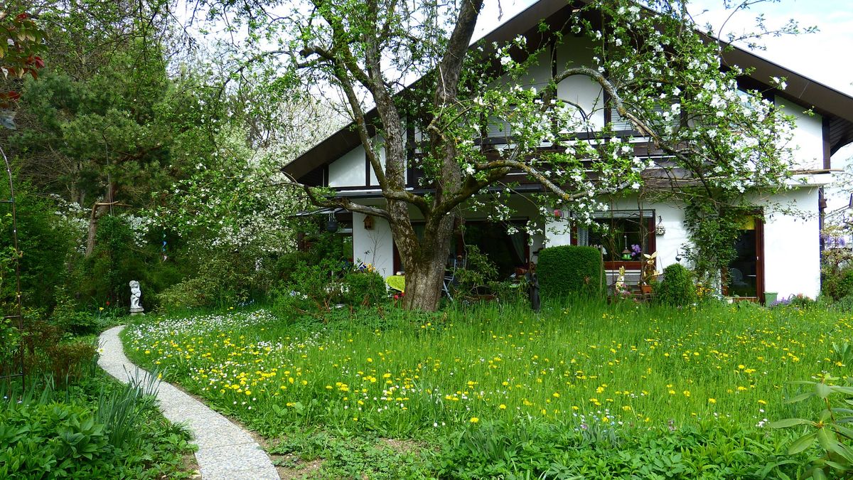 Państwo Ciasiowie znaleźli na działce niezwykły przedmiot (zdj. ilustracyjne)