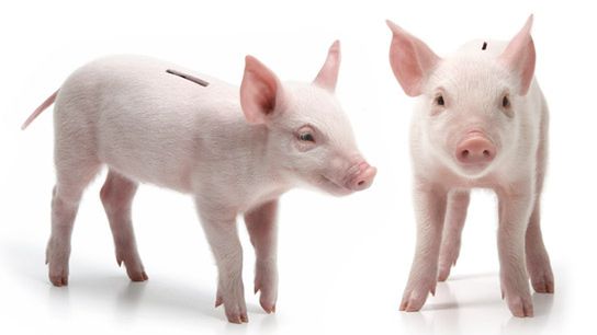 Oszczędzaj z klasą! 10 nietypowych skarbonek 1