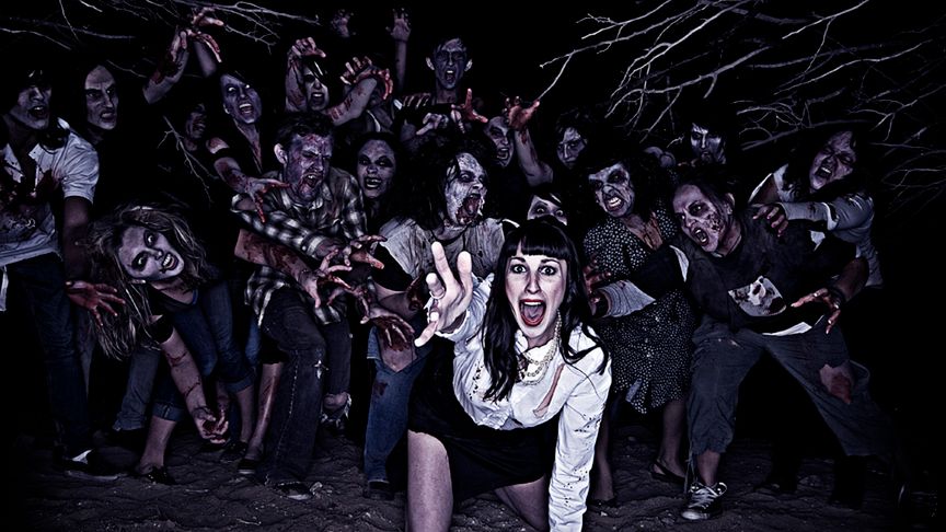 Komputery ZOMBIE sieją postrach na całym świecie! 1