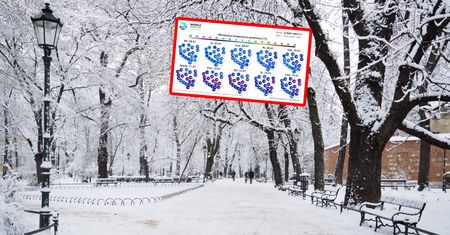 IMGW już wie. Wtedy w Polsce będzie nawet -25 st. C