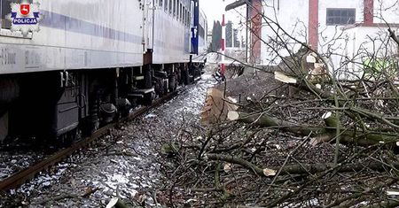 Pociąg pospieszny uderzył w drzewo leżące na torach. W pobliżu trwała wycinka drzew